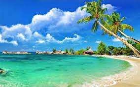 AUSWANDERN IN DIE CARIBIC,LEBEN IM PARADIES,365 TAGE SONNENSCHEIN